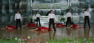 Ada, Bohém, boogie-woogie, fellépés, rendezvényfotó, showműsor, tánc, Vajdaság, gengszter