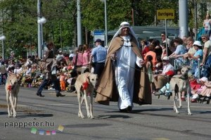 Svájc, Zürich, felvonulás, Sechseläute, rendezvényfotó