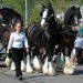 Svájc, Zürich, felvonulás, Sechseläute, rendezvényfotó