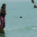 Balatonfüred, Balaton, vízisí, víz, úszás, esés, nyár, sport