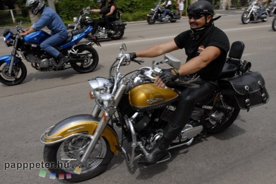 Harley, Davidson, motor, találkozó, felvonulás, bőr, tömeg