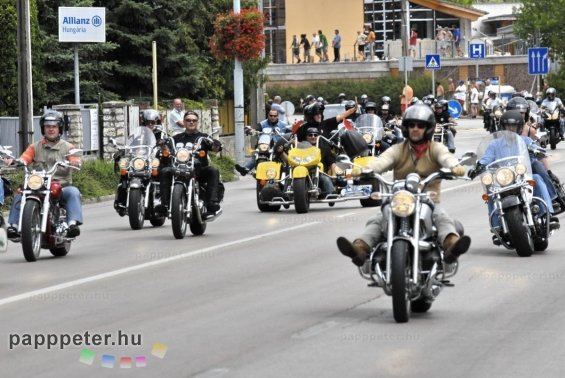 Harley, Davidson, motor, találkozó, felvonulás, bőr, tömeg