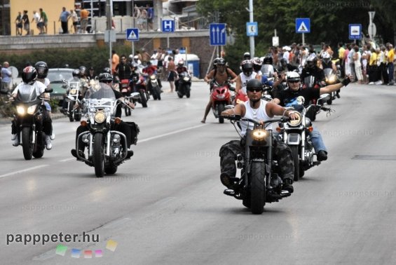 Harley, Davidson, motor, találkozó, felvonulás, bőr, tömeg