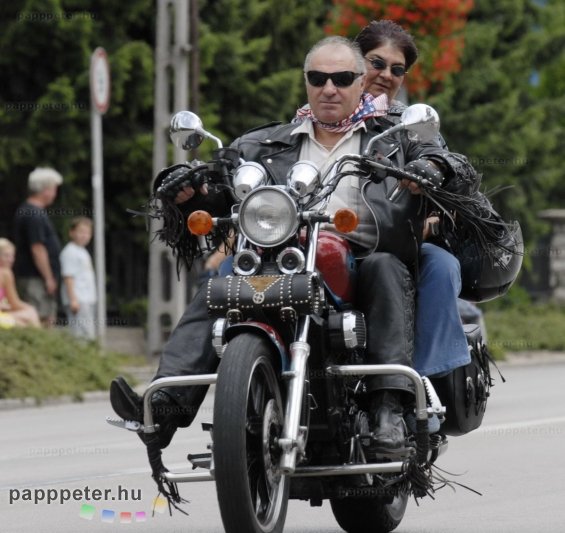 Harley, Davidson, motor, találkozó, felvonulás, bőr, tömeg