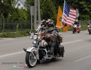 Harley, Davidson, motor, találkozó, felvonulás, bőr, tömeg