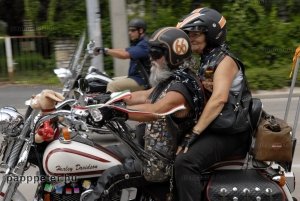 Harley, Davidson, motor, találkozó, felvonulás, bőr, tömeg