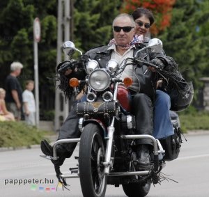 Harley, Davidson, motor, találkozó, felvonulás, bőr, tömeg