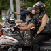 Harley, Davidson, motor, találkozó, felvonulás, bőr, tömeg