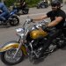 Harley, Davidson, motor, találkozó, felvonulás, bőr, tömeg