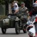 Harley, Davidson, motor, találkozó, felvonulás, bőr, tömeg