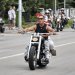 Harley, Davidson, motor, találkozó, felvonulás, bőr, tömeg