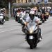 Harley, Davidson, motor, találkozó, felvonulás, bőr, tömeg