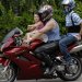 Harley, Davidson, motor, találkozó, felvonulás, bőr, tömeg