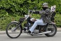 Harley, Davidson, motor, találkozó, felvonulás, bőr, tömeg