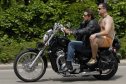 Harley, Davidson, motor, találkozó, felvonulás, bőr, tömeg