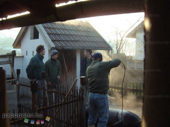 disznótor, mezőberény, disznó