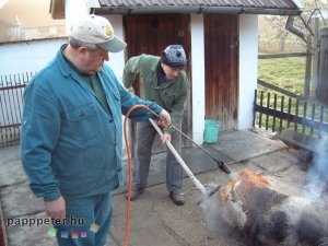 disznótor, mezőberény, disznó, pörzsölés