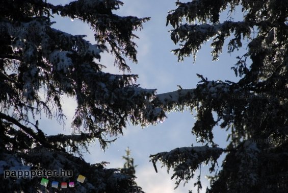 snowboard, tél, hó, sípálya, jégfák, St. Corona