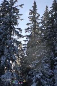 snowboard, tél, hó, sípálya, jégfák, St. Corona