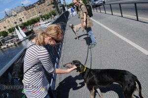 svédország, stockholm, kirándulás, Enci