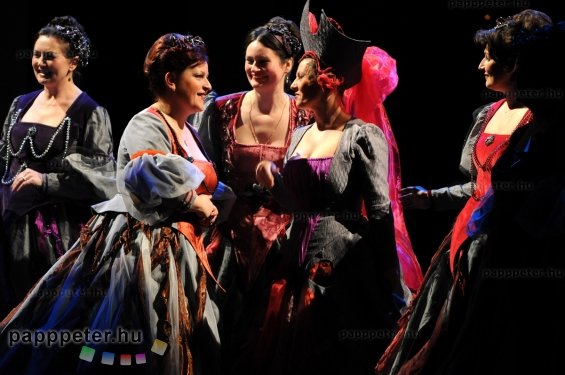 Hunyadi László, Győri Nemzeti Színház, Opera