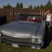 sátortábor, Rock & Roll, Vízparti, Gárdony, oldtimer, Enci, cadillac