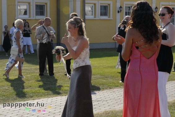 esküvő, lovashintó, Réka, rendezvényfotó, esküvőfotó
