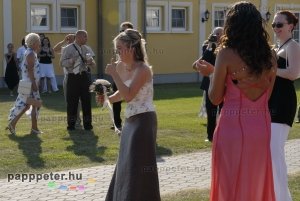 esküvő, lovashintó, Réka, rendezvényfotó, esküvőfotó